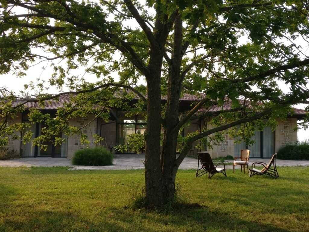 IMG-20240713-WA0033 recortada