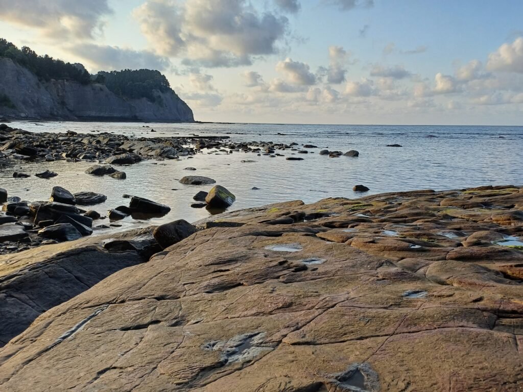 20240801_203359 moztuta